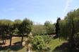 Casa indipendente in vendita con giardino a Martinsicuro - 07, Foto 7