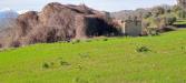 Rustico in vendita con giardino a Massignano in contrada san pietro 55 - 04, Foto 4