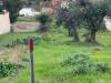 Terreno Edificabile in vendita a Grottammare in via ischia - 05, Foto 6
