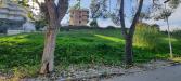 Terreno Edificabile in vendita a San Benedetto del Tronto in via col dei pioppi - 05, Foto 5