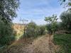 Terreno Agricolo in vendita a Monsampolo del Tronto - 04, Foto 4