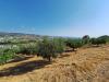 Terreno Agricolo in vendita a Colonnella in contrada san giovanni - 04, Foto 4