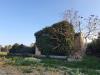 Casa indipendente in vendita con giardino a Monteprandone in contrada isola ovest - 04, Foto 4