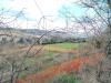 Terreno Agricolo in vendita a Monteprandone in via colle appeso snc - 03, Foto 3