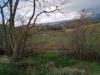 Terreno Agricolo in vendita a Monteprandone in via colle appeso snc - 02, Foto 2