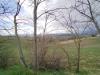 Terreno Agricolo in vendita a Monteprandone in via colle appeso snc - 04, Foto 4