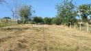 Terreno Agricolo in vendita a Monteprandone in contrada spiagge - 04, Foto 5