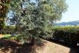 Appartamento in vendita con giardino a Grottammare in via san pietro 11 - 10, Foto 10