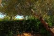 Appartamento in vendita con giardino a Grottammare in via san pietro 11 - 06, Foto 6