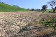 Terreno Agricolo in vendita a Montottone in via del mulino - 10, Foto 10