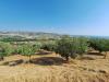 Terreno Agricolo in vendita a Colonnella in contrada san giovanni - 03, Foto 3