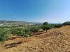Terreno Agricolo in vendita a Colonnella in contrada san giovanni - 10, Foto 10