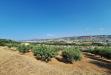 Terreno Agricolo in vendita a Colonnella in contrada san giovanni - 09, Foto 9