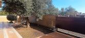 Casa indipendente in vendita con giardino a Anzio in via miglioramento 157 - 06, Foto 6