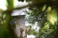 Villa in affitto con giardino a Brienno in villaggio primavera 21 - 06, Foto 6