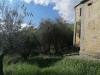 Rustico in vendita con giardino a Acquaviva Picena in strada provinciale 46 1 - 05, Foto 5