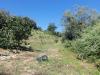 Terreno Agricolo in vendita a Acquaviva Picena in contrada madonna delle piane - 04, Foto 4