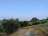 Rustico in vendita con giardino a Acquaviva Picena in contrada paterno - 04, Foto 4