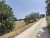 Terreno Agricolo in vendita a Acquaviva Picena in contrada paterno - 03, Foto 3