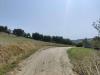 Terreno Agricolo in vendita a Acquaviva Picena in contrada magazzini - 03, Foto 3