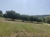 Terreno Agricolo in vendita a Acquaviva Picena in contrada magazzini - 09, Foto 9
