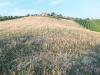 Terreno Agricolo in vendita a Monsampolo del Tronto in contrada collelungo - 02, Foto 2
