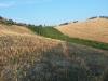 Terreno Agricolo in vendita a Monsampolo del Tronto in contrada collelungo - 04, Foto 4