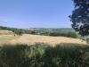 Terreno Agricolo in vendita a Acquaviva Picena in contrada paterno - 04, Foto 4