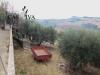 Terreno Agricolo in vendita a Acquaviva Picena in contrada san giacomo - 10, Foto 10