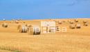 Terreno Agricolo in vendita a Eraclea in via murazzetta 2 - 10, Foto 10