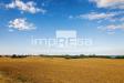 Terreno Agricolo in vendita a Eraclea in via murazzetta 2 - 02, Foto 2