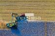 Terreno Agricolo in vendita a Eraclea in via murazzetta 2 - 07, Foto 7