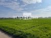 Terreno Agricolo in vendita a Iesolo - 02, Foto 4