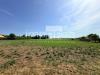 Terreno Agricolo in vendita a San Biagio di Callalta in via roma - 02, Foto 2