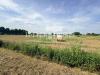 Terreno Agricolo in vendita a San Biagio di Callalta in via roma - 04, Foto 4