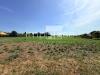 Terreno Agricolo in vendita a San Biagio di Callalta in via roma - 05, Foto 5