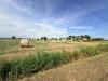 Terreno Agricolo in vendita a San Biagio di Callalta in via roma - 07, Foto 7