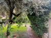 Villa in vendita con giardino a Lucca in via delle tagliate 314 - 08, Foto 8