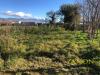 Terreno in vendita a Gorizia - montesanto - 03