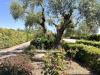 Attivit� commerciale in vendita con giardino a Controguerra in contrada piane tronto - 06, Foto 6