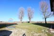 Villa in vendita con giardino a San Giovanni in Persiceto in via modena 3 - 03, Foto 3