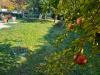 Villa in vendita con giardino a Sala Bolognese in via grazia deledda 23 - 05, Foto 5