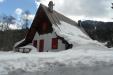 Terreno Edificabile in vendita a Tarvisio - 03, Foto 3
