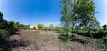 Terreno Agricolo in vendita a Cepagatti in via pignatelli - 03, Foto 3