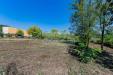 Terreno Agricolo in vendita a Cepagatti in via pignatelli - 02, Foto 2