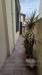 Appartamento in vendita con giardino a Viareggio in via zanardelli - lungomare - 02, Foto 2