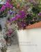 Appartamento in vendita a Viareggio in piazza mazzini - 04, Foto 4