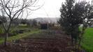Terreno Edificabile in vendita a Cepagatti - 07, Foto 17