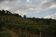 Terreno Agricolo in vendita a Torrevecchia Teatina in via chieti - 10, Foto 10
