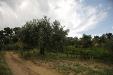 Terreno Agricolo in vendita a Torrevecchia Teatina in via chieti - 03, Foto 3